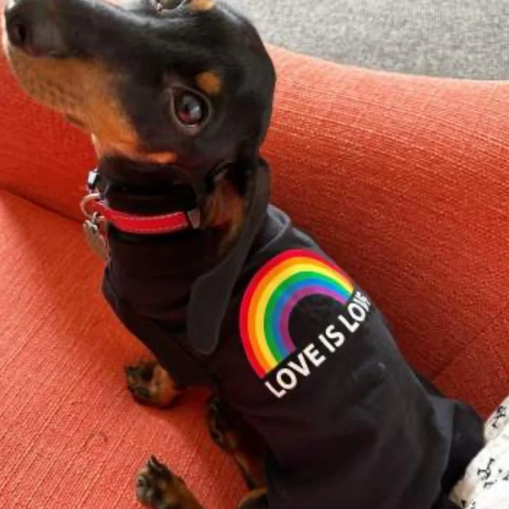 Pride Dog & Cat tank by Boots & Barkley size L/XL